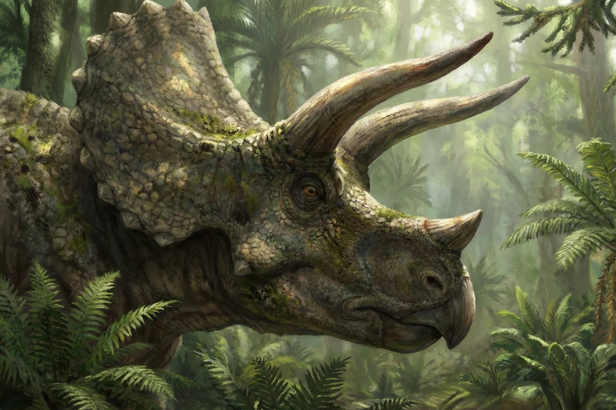 Wie Triceratops eingebaute Gehirnkühler nutzte, um extreme körperliche Anstrengung zu überstehen