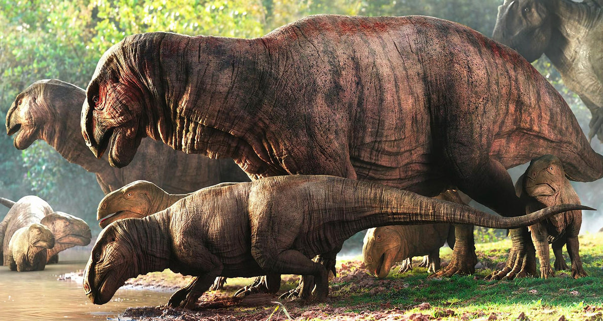 5+ Dinosaurierbücher für junge Köpfe, die Mega(fauna)-Ideen mögen