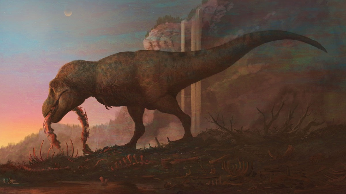 Die Geschichte des T. rex: 120 Jahre seit seiner Benennung