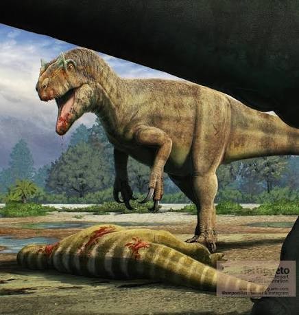 Allosaurus: the common predator of the Morrison rocks