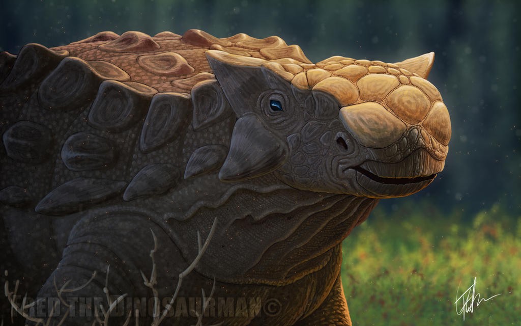 Ankylosaurus: how bone armour protected a plant eater
