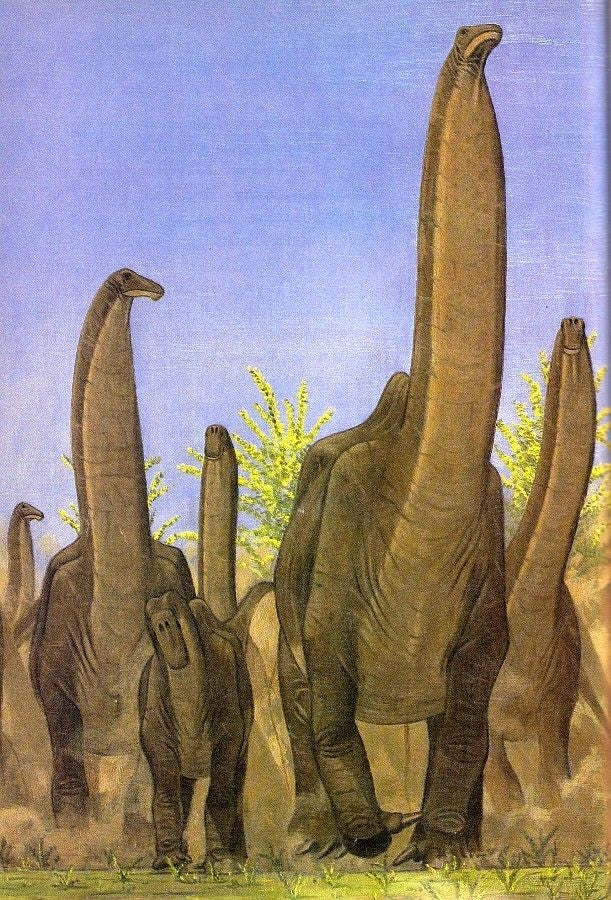 Apatosaurus und Brontosaurus: Warum beide Namen wichtig sein können