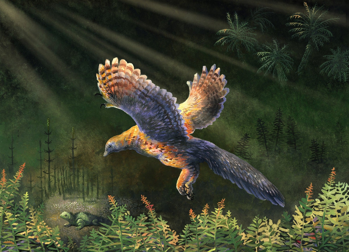 Archaeopteryx: what its feathers tell us about flight