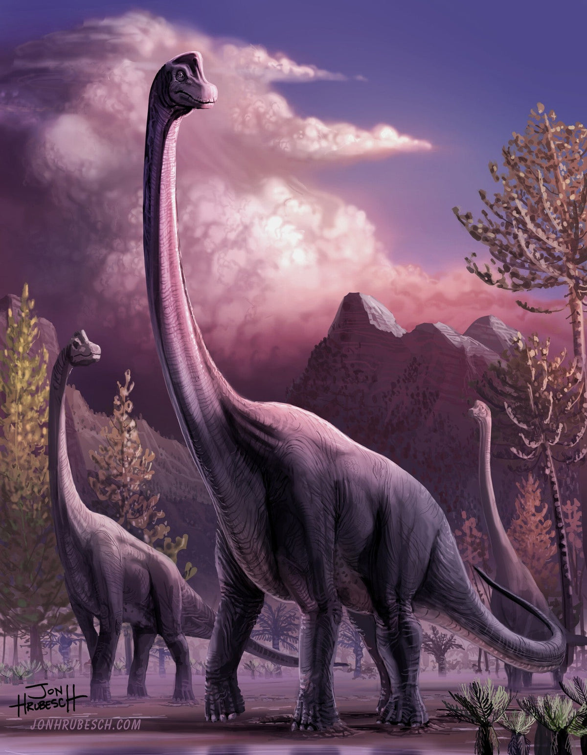 Brachiosaurus: why its front legs made such a difference