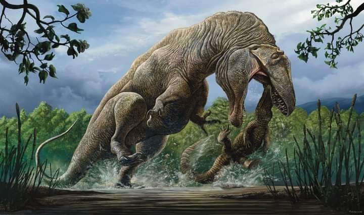 Carcharodontosaurus: a giant predator with cutting teeth