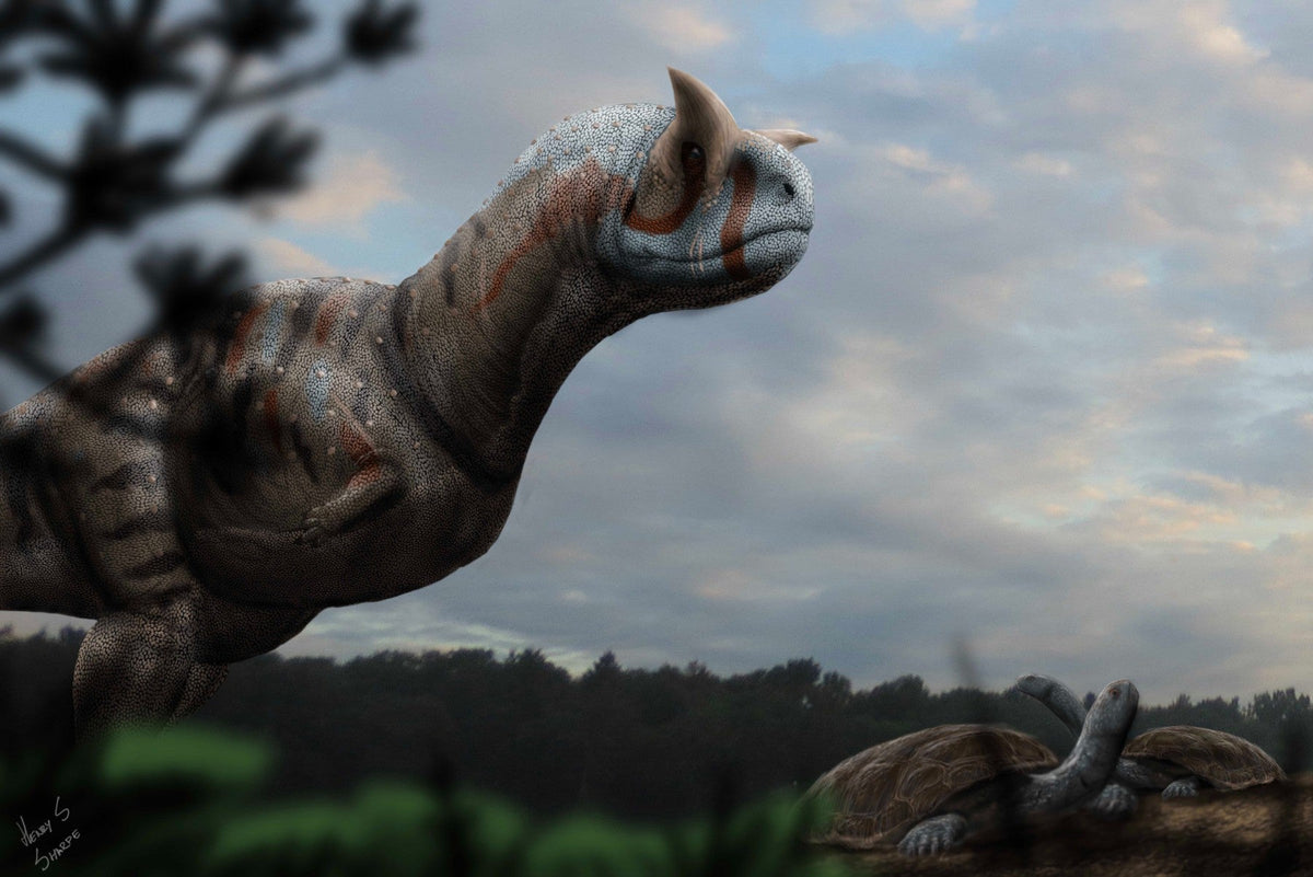 Carnotaurus: the dinosaur whose skin left a pattern in stone