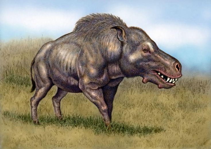 Daeodon: the huge-jawed mammal often mistaken for a pig
