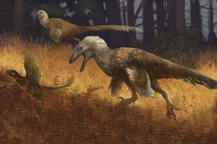 Deinonychus: the dinosaur that helped change an old idea