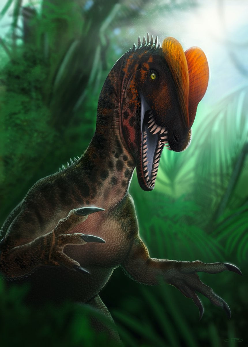 Dilophosaurus: the real animal behind the movie creature