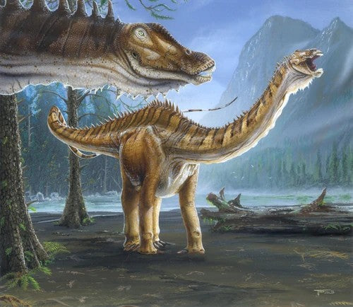 Diplodocus: ein langer Dinosaurier mit einem kleinen Futterwerkzeug