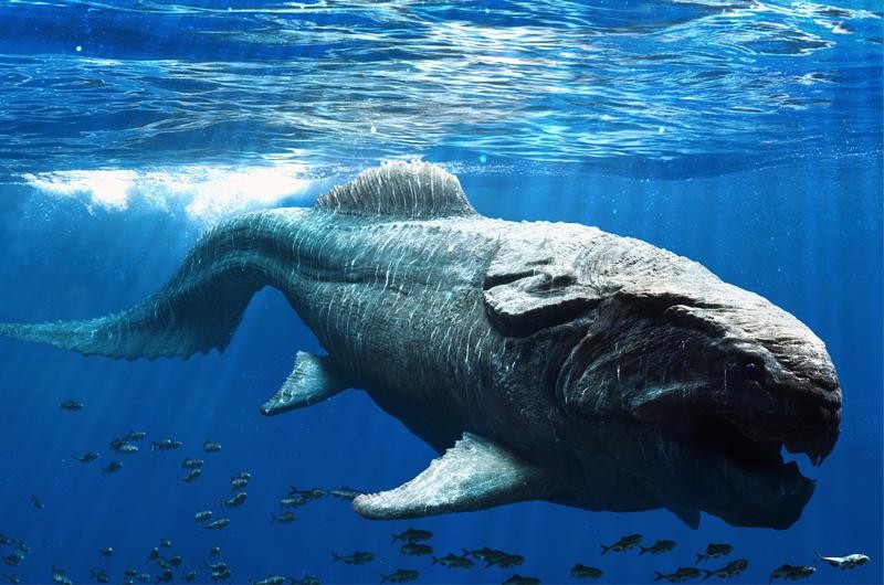 Dunkleosteus: Warum ein berühmter Riesen Fisch vielleicht kleiner war