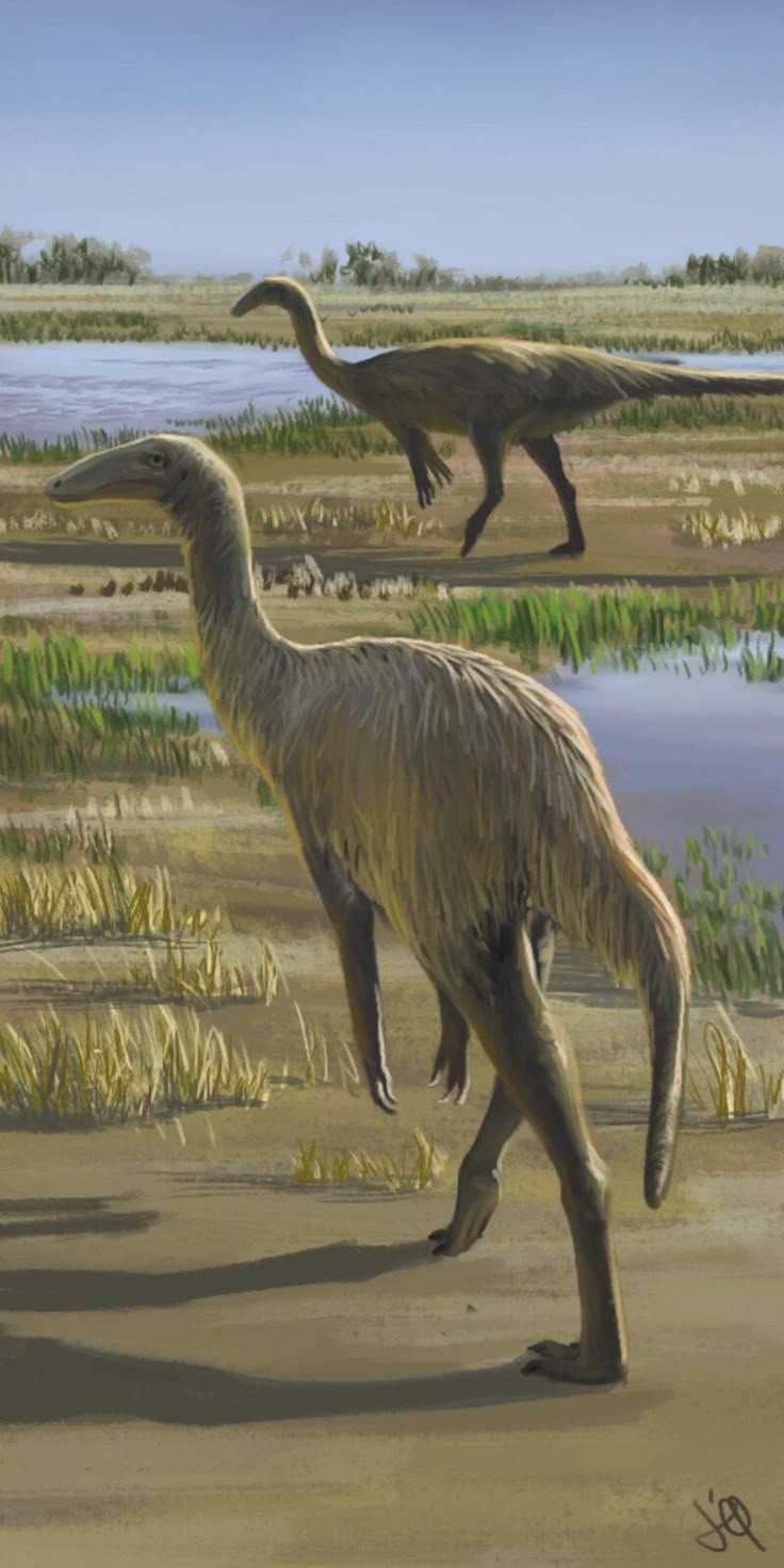 Gallimimus: why a toothless beak leaves a food mystery