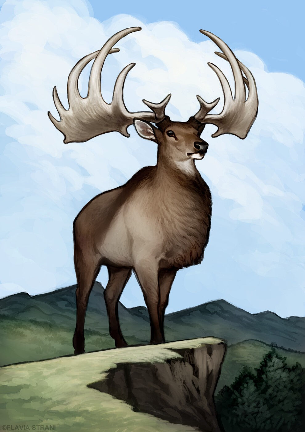 The Irish elk: a giant deer with antlers wider than a doorway