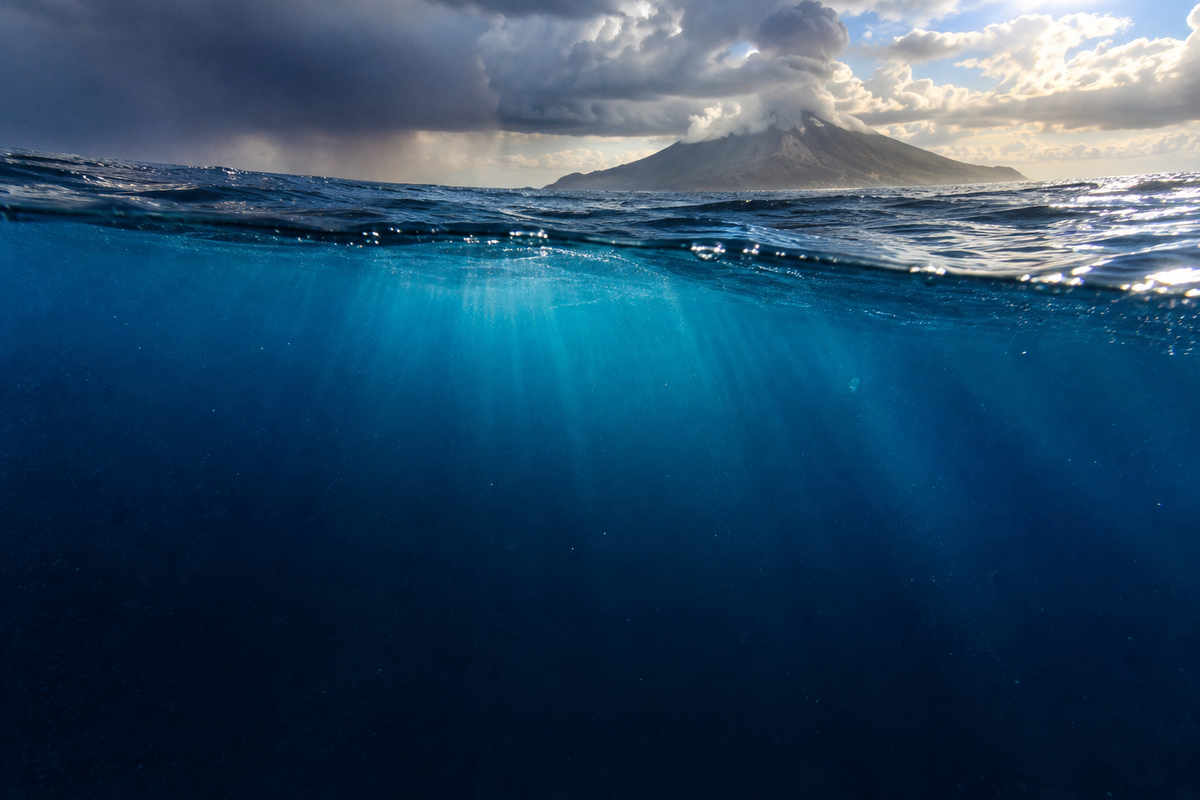 How Ocean Ecosystems Work