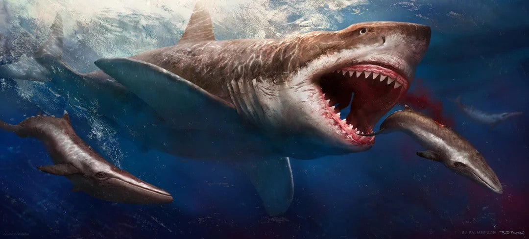 Megalodon: Warum so viel von seiner Geschichte aus Zähnen stammt