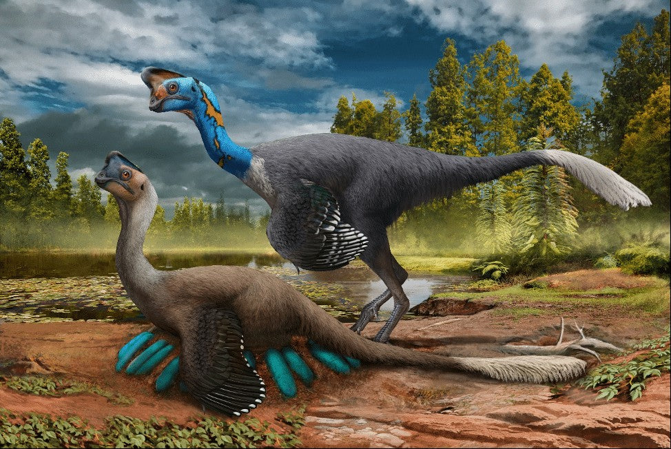 Oviraptor: how dinosaur nests changed the egg thief story
