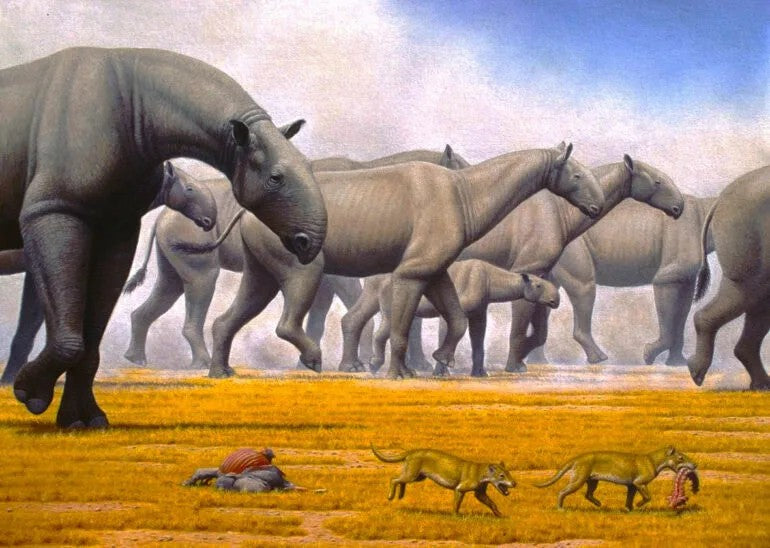 Paraceratherium: das riesige Nashorn ohne Horn