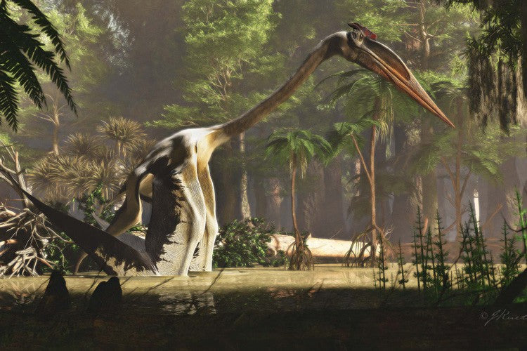 Quetzalcoatlus: how a giant pterosaur might have taken off