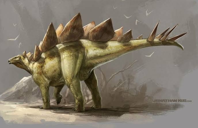 Stegosaurus: plates above, sharp spikes behind