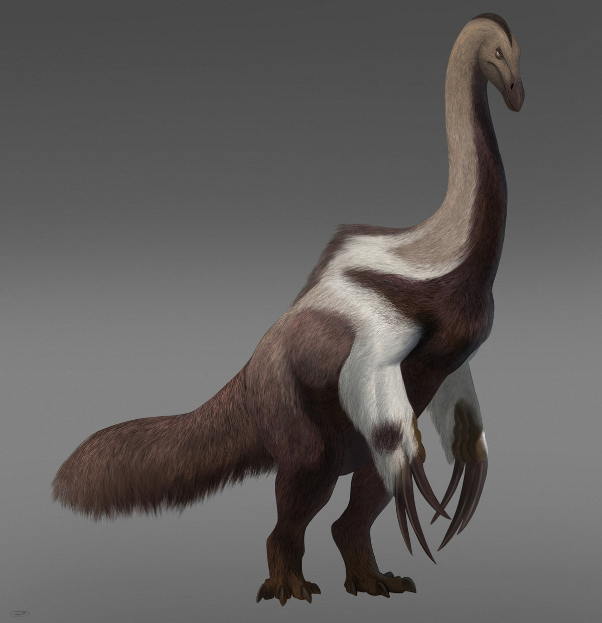 Therizinosaurus: giant claws that may have been for show
