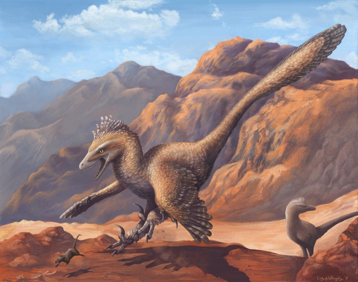 Velociraptor: the small bumps that revealed its feathers