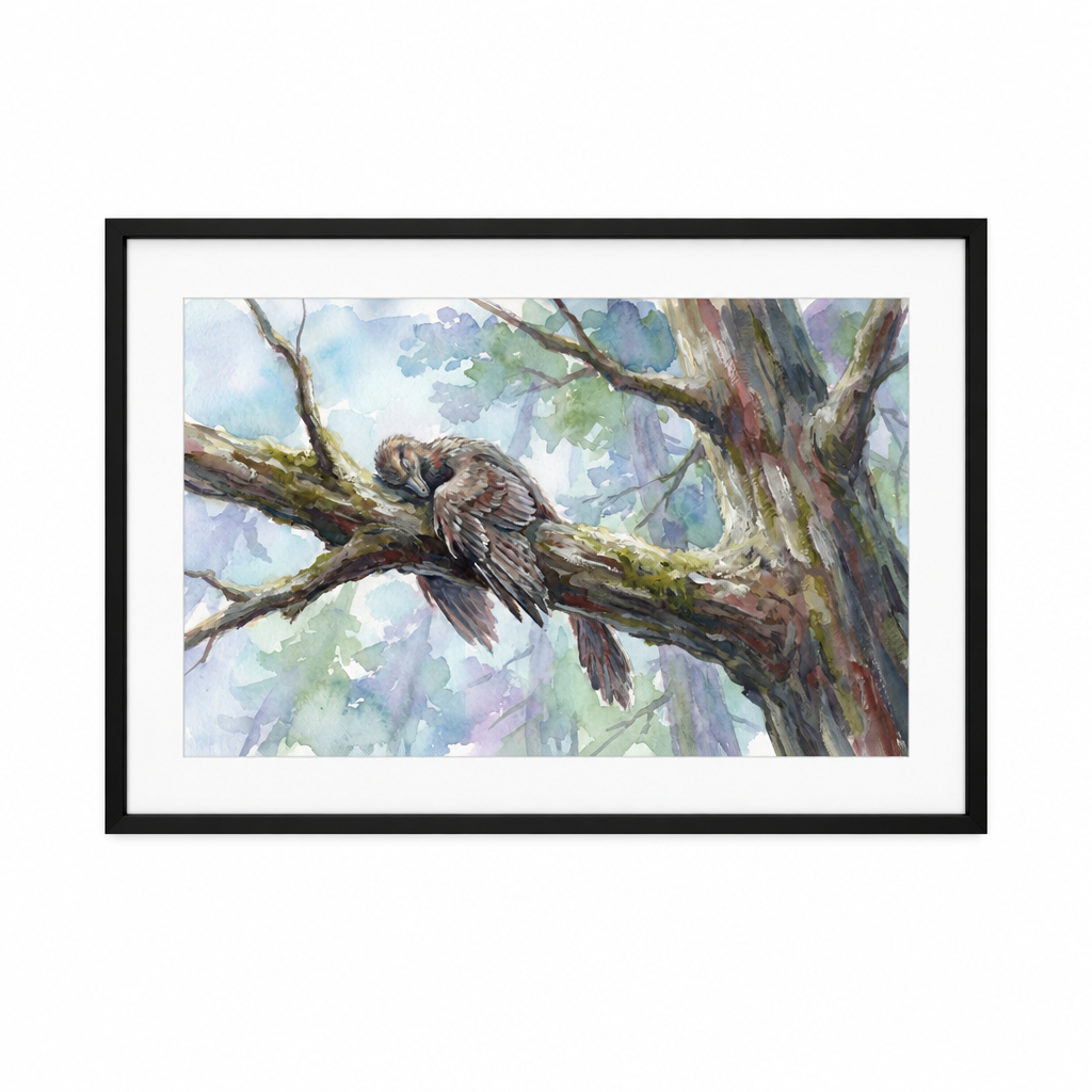 Archaeopteryx Sleeping Dinosaurs poster: painted artwork of a feathered Archaeopteryx asleep on a tree branch, framed