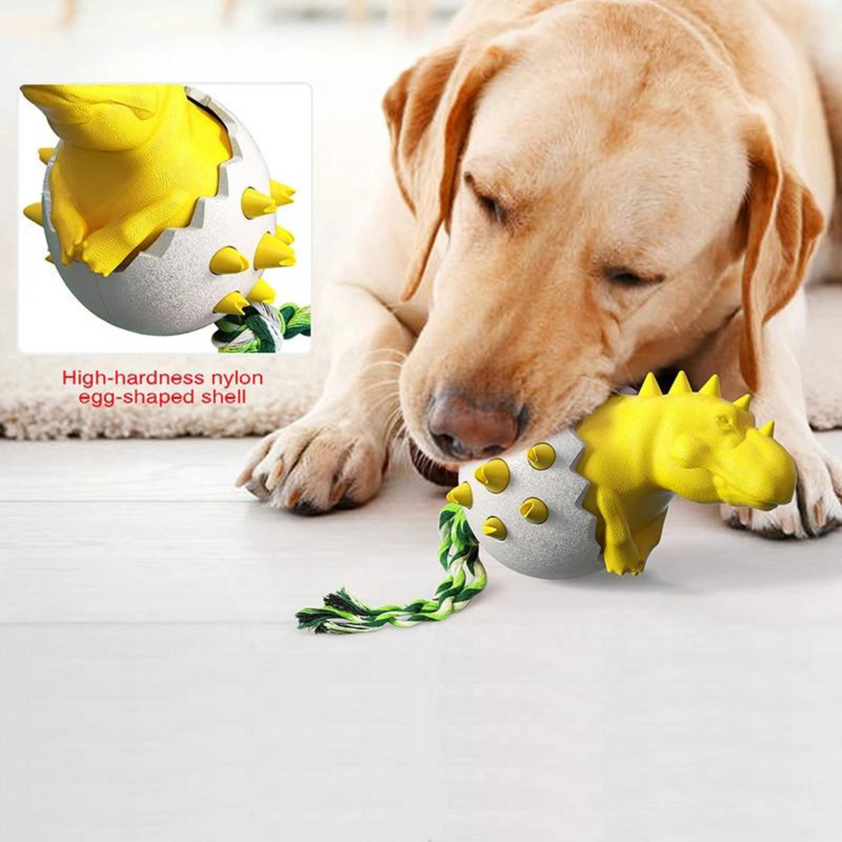 Hatching Dinosaur Dog Toy - photo 10