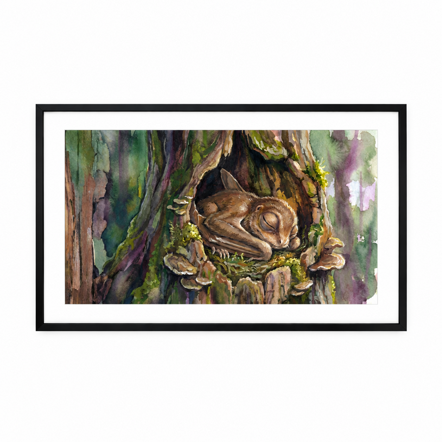 Anurognathus | Sleeping Dinosaurs Posters