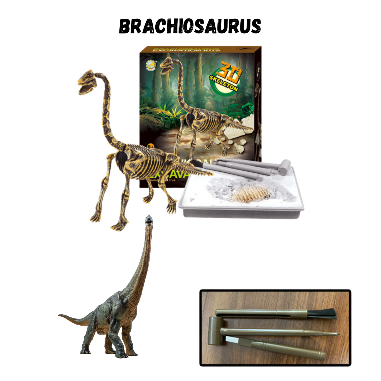 Buy Dinosaur Excavation Kit Online