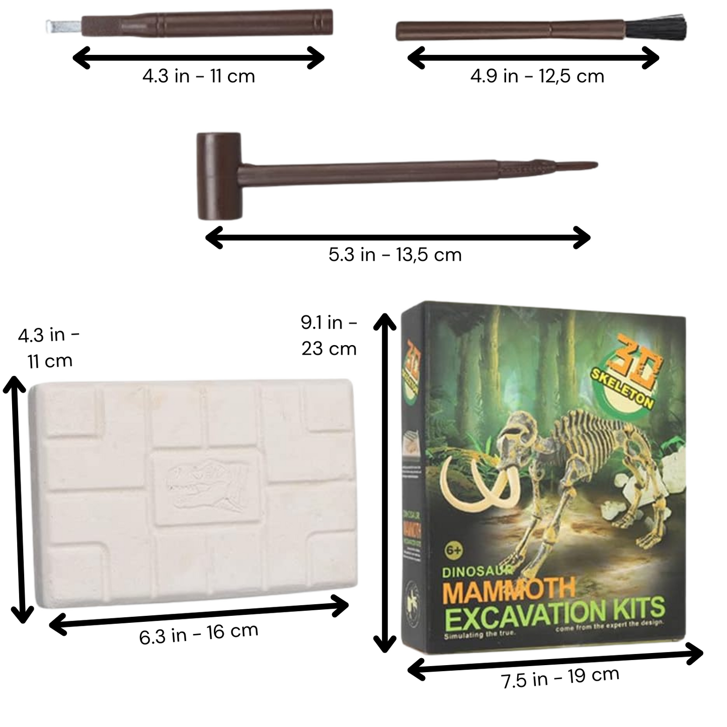 Buy Dinosaur Excavation Kit Online