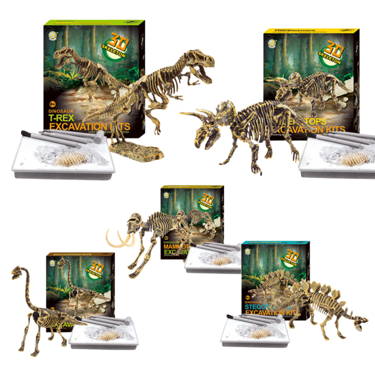 Buy Dinosaur Excavation Kit Online