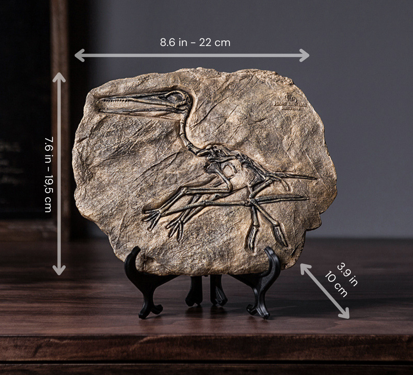 Buy Dinosaur Decorations Fossil Online