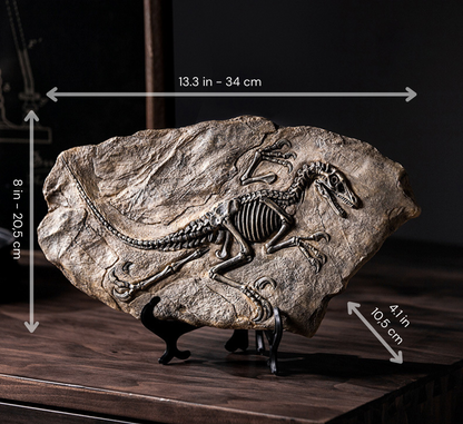 Buy Dinosaur Decorations Fossil Online