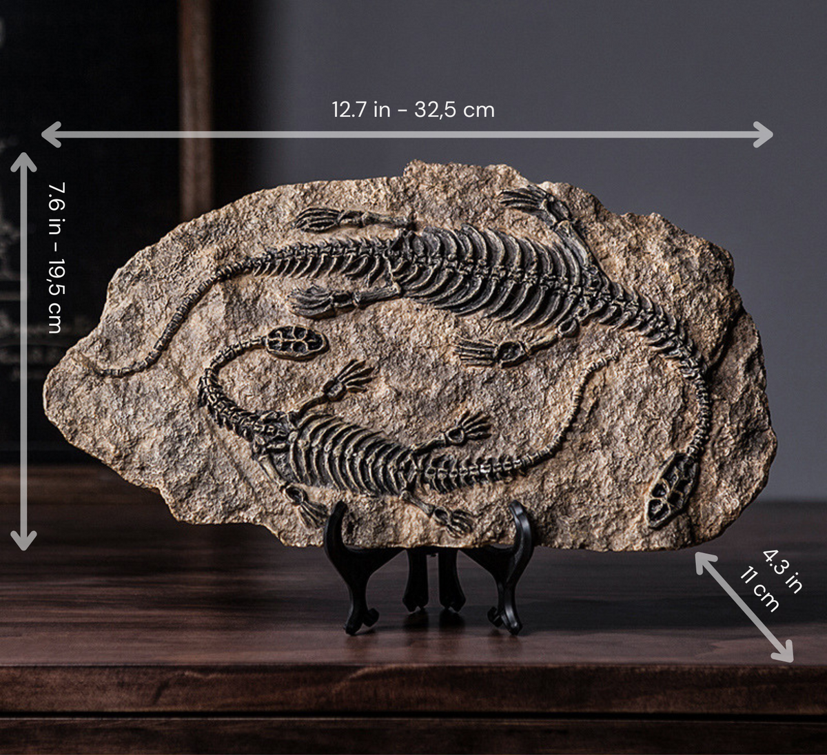 Prehistoric Fossil Decorations - Plesiosaurus - photo 5