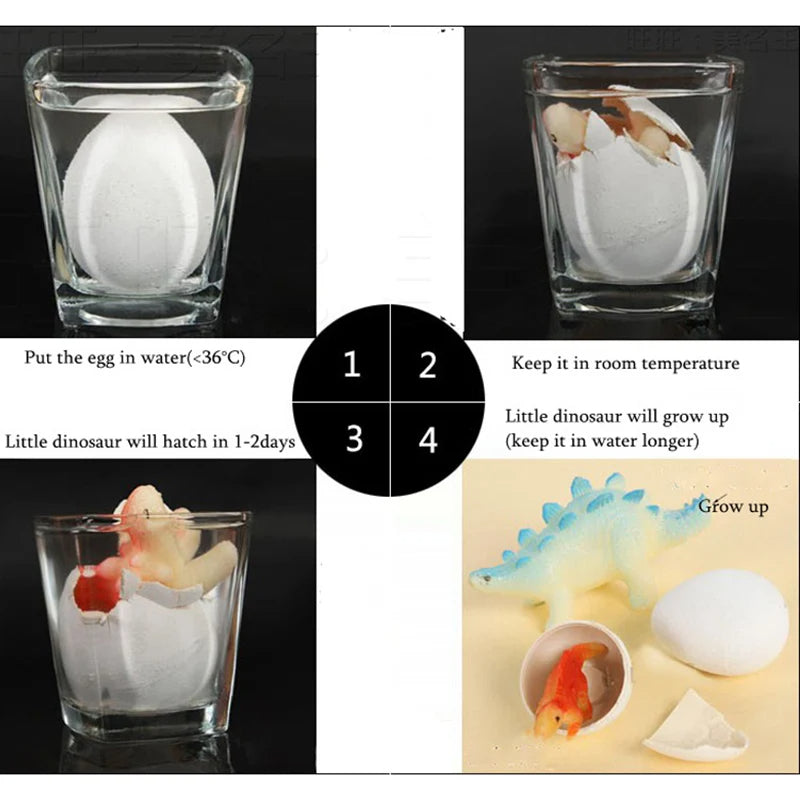 Magical Dinosaur Eggs - Dinosaur Toys