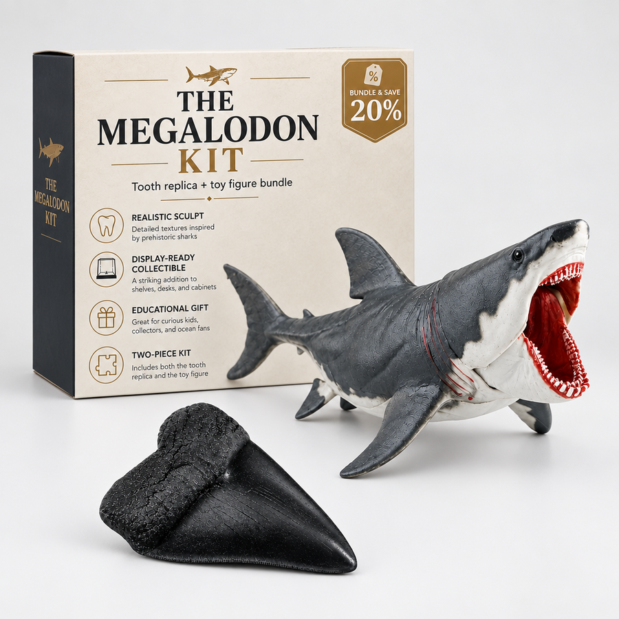 The Megalodon Kit bundle with megalodon toy figure, tooth replica, and 20% discount for collectors