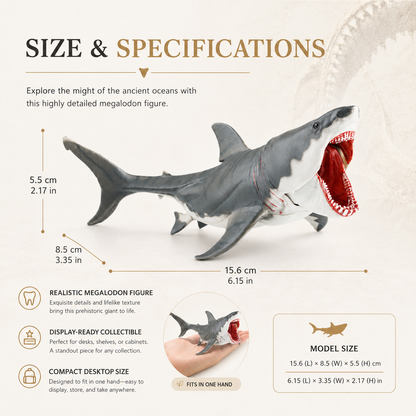 The Megalodon Kit size and specifications showing toy figure and tooth replica dimensions