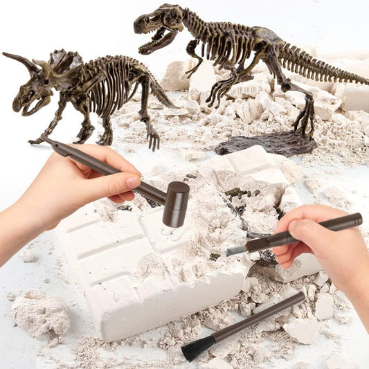 Buy Dinosaur Excavation Kit Online