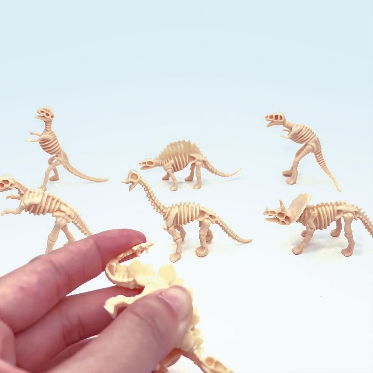 Hand picking up a mini Stegosaurus skeleton figure