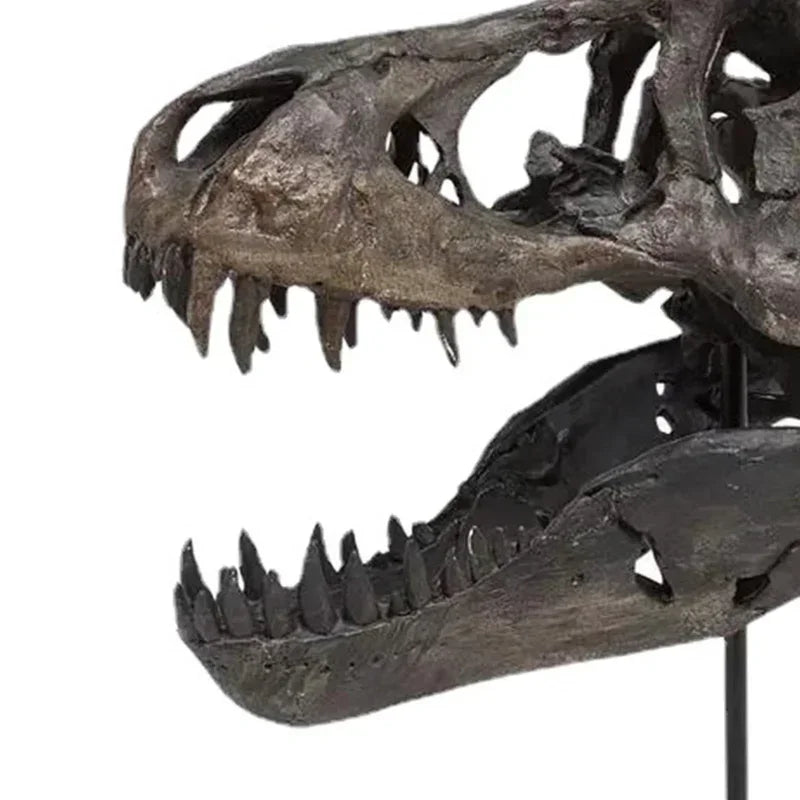 T-rex Skull Replica - photo 4