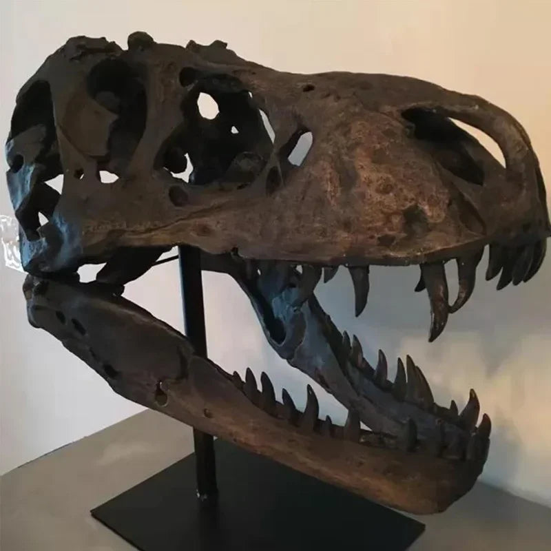 T-Rex Skull Resin Fossil – Dinosaur Decor for Home & Office