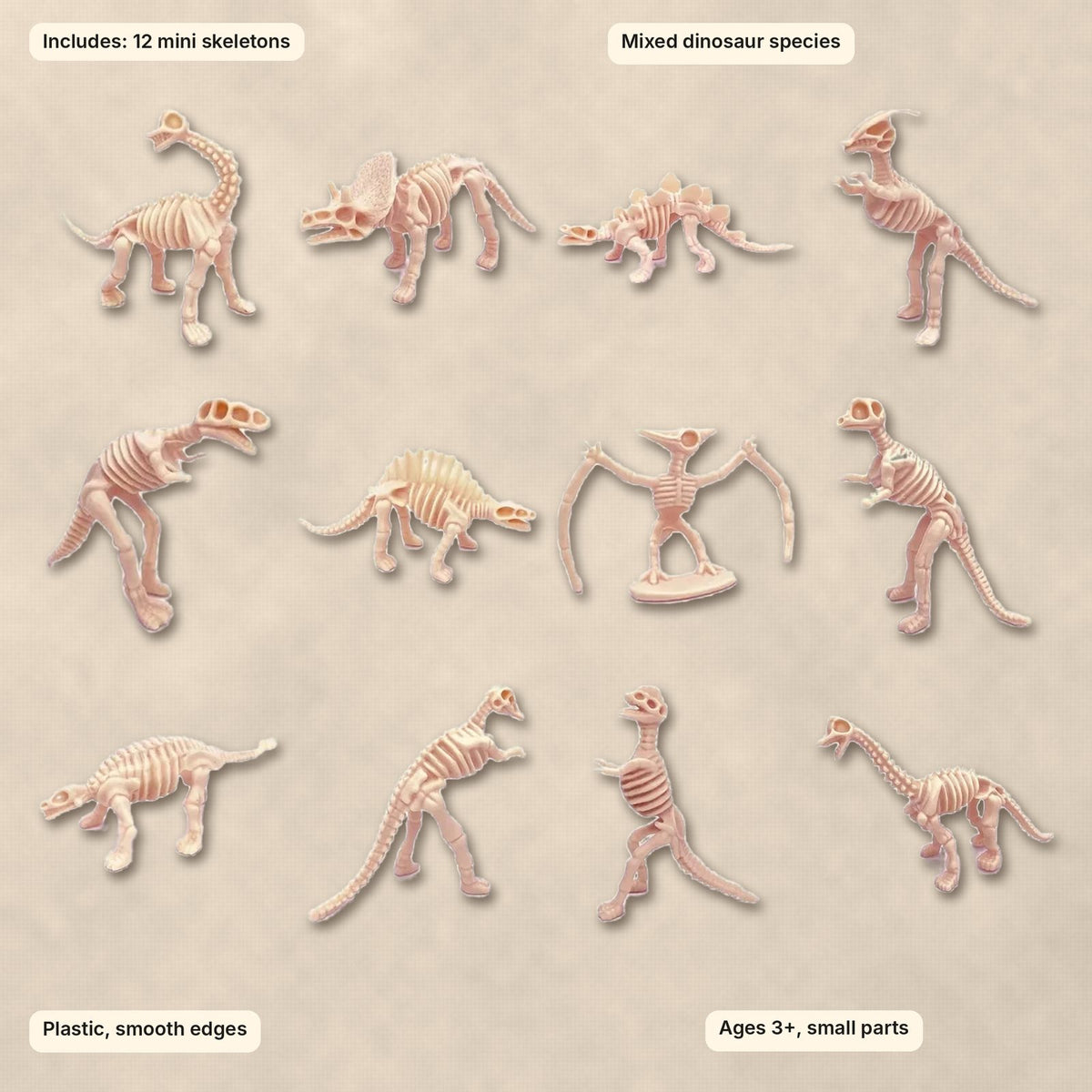 12 mini skeletons of mixed dinosaur species, plastic with smooth edges, ages 3+