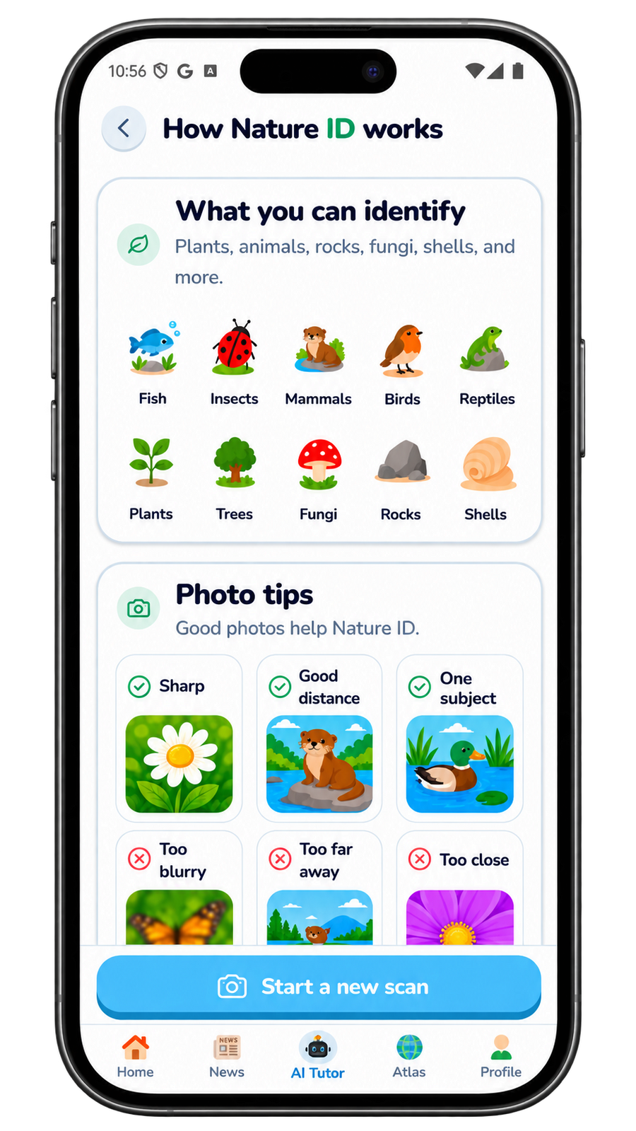 How Paleon Nature ID works on an iPhone